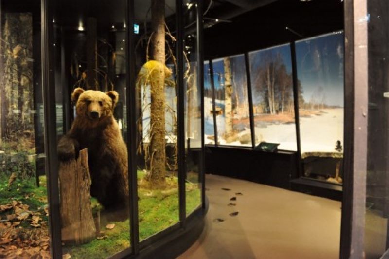 Museokortti-kohde: Jyväskylä University Museum's Natural History Museum -  